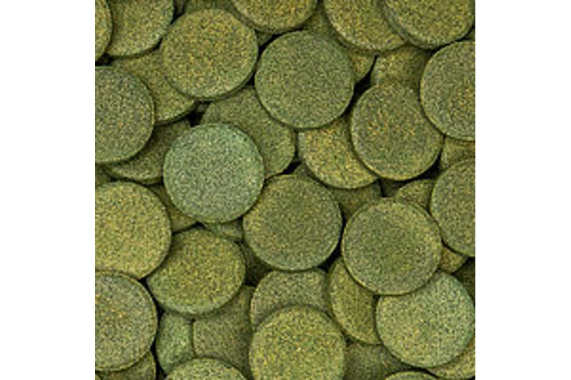 Sera Wels-Tabs XXL Nature, 250 Ml 2 Sera Wels-Tabs XXL Nature, 250 Ml – Bild 2