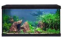 EHEIM Aquastar 54 LED Schwarz - Aquarienset -Zubehör für Haustieraquarien 0340645 EHEIM aquastar 54 LED schwarz 05