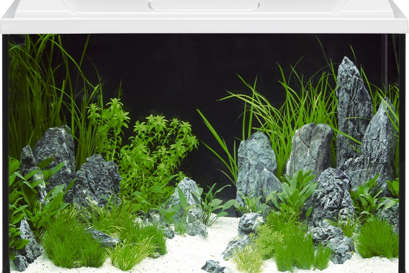 EHEIM AquaproLED 84 Weiß - Aquarienset 2 EHEIM AquaproLED 84 Weiß - Aquarienset – Bild 2