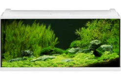 EHEIM AquaproLED 180 Weiß - Aquarienset
