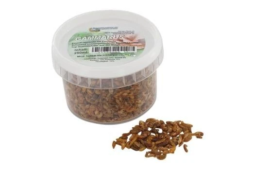 Hausmarke FD Gammarus (Bachflohkrebse), 500 Ml 1 Hausmarke FD Gammarus (Bachflohkrebse), 500 Ml