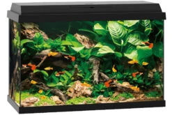 Juwel Primo 70 Schwarz Aquarium-Set 6 Juwel Primo 70 Schwarz Aquarium-Set -Zubehör für Haustieraquarien 13j25370 Juwel Primo 70 schwarz 3
