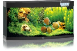 Juwel Vision 260 LED Schwarz Aquarium-Set -Zubehör für Haustieraquarien 13j6350 JUWEL Vision 260 LED schwarz Aquarium 2