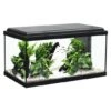 Aquatlantis Aquarienset Advance 60 LED, Schwarz