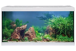 Zubehör für Haustieraquarien 23 EHEIM Aquastar 54 LED Weiß - Aquarienset
