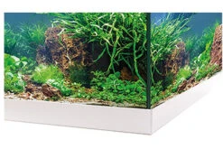 Zubehör für Haustieraquarien -Zubehör für Haustieraquarien 340646 Eheim aquastar 54 LED weiss 02