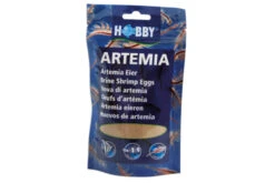 Hobby Artemia Eier, 150 Ml