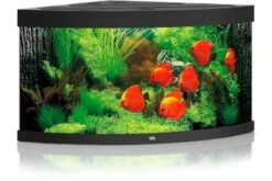 Juwel Aquarium Trigon 350 LED, Schwarz