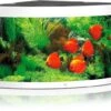 Juwel Aquarium Trigon 350 LED, Weiß