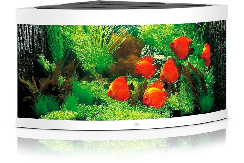 Juwel Aquarium Trigon 350 LED, Weiß 1 Juwel Aquarium Trigon 350 LED, Weiß
