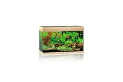 Juwel Rio Aquarium 125 LED, Helles Holz