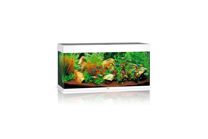 Juwel Rio Aquarium 180 LED, Weiß 1 Juwel Rio Aquarium 180 LED, Weiß