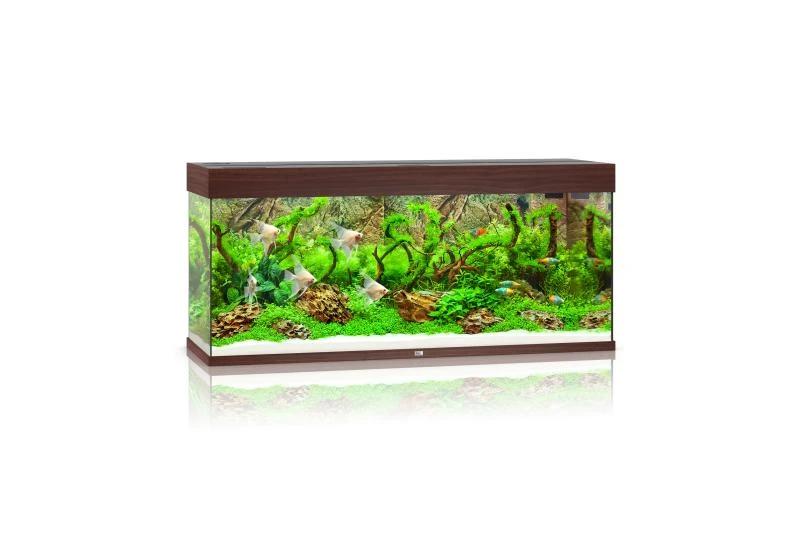 Juwel Rio Aquarium 240 LED, Dunkles Holz 1 Juwel Rio Aquarium 240 LED, Dunkles Holz