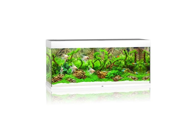 Juwel Rio Aquarium 240 LED, Weiß 1 Juwel Rio Aquarium 240 LED, Weiß