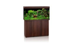 Juwel Rio 350 LED SBX Kombination, Dunkles Holz