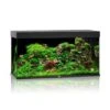 Juwel Aquarium Rio 350 LED, Schwarz