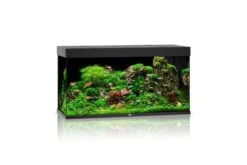 Juwel Aquarium Rio 350 LED, Schwarz