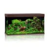 Juwel Aquarium Rio 350 LED, Dunkles Holz