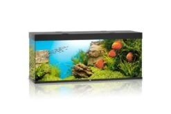 Juwel Rio Aquarium 450 LED, Schwarz
