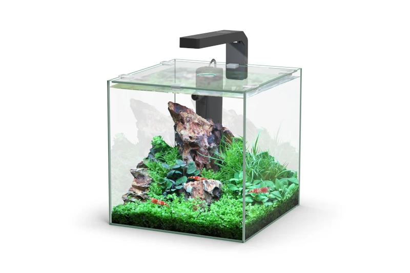 Aquatlantis Kubus 10 L LED Aquarienset 1 Aquatlantis Kubus 10 L LED Aquarienset