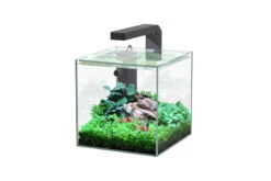 Aquatlantis Kubus 5 L LED Aquarienset