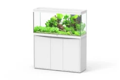 Aquatlantis Splendid 240 Weiß Kombi, 120x40