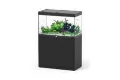 Aquatlantis Sublime 245 Piano Schwarz Kombi 40mm, 100x50 Cm