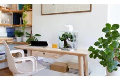 Aquael Shrimp Set Day&Night, 30 Liter Weiss 8 Aquael Shrimp Set Day&Night, 30 Liter Weiss -Zubehör für Haustieraquarien shrimp set day night 4