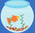 Zubehör für Haustieraquarien